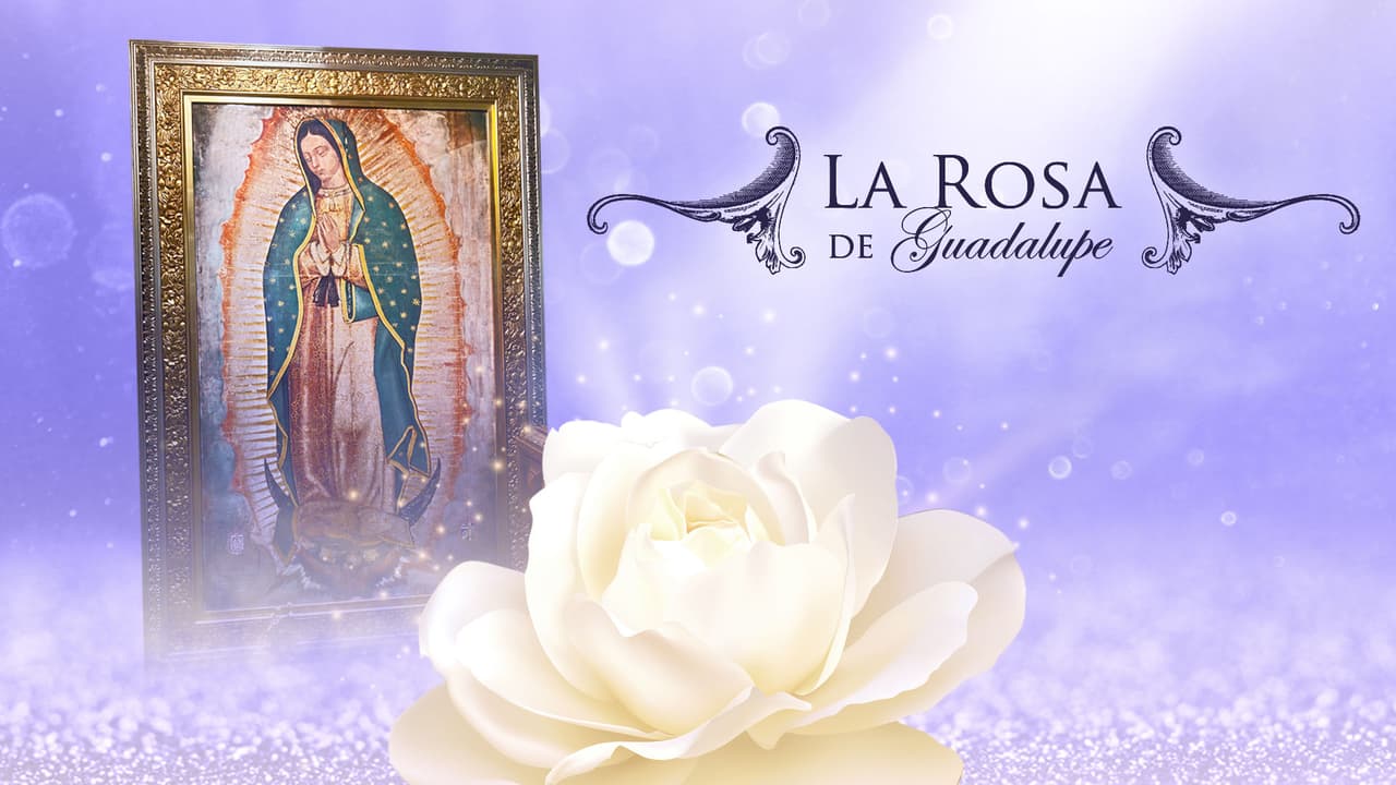 La Rosa de Guadalupe - Nuevos episodios