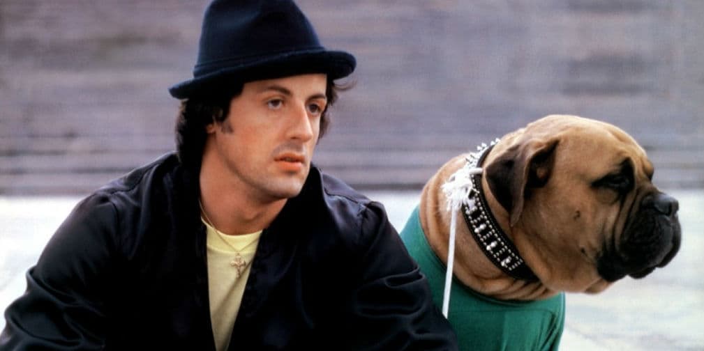 Conoce la verdadera historia de Rocky