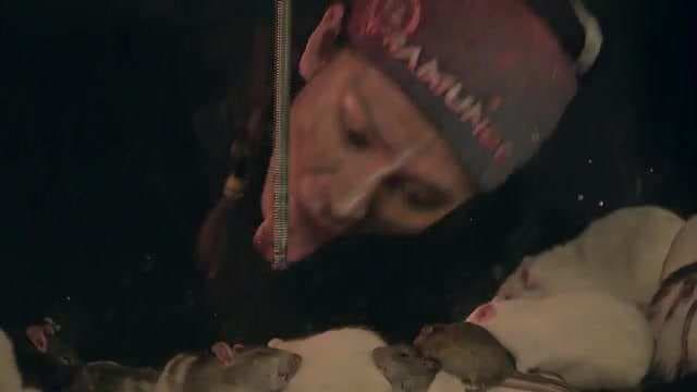 Brisa superó su miedo a las ratas ¡con la lengua!