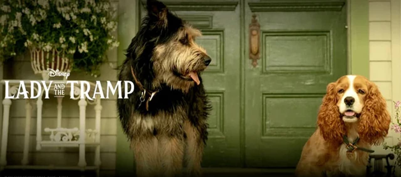 Así se verán los perritos en la nueva versión de ‘La Dama y el Vagabundo’