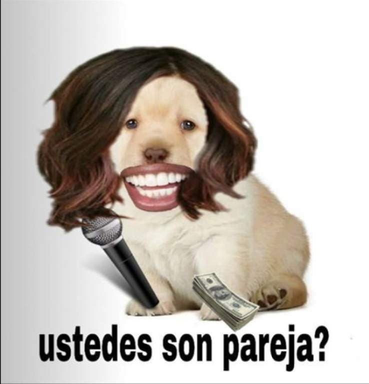 Aunque a veces verlo de metiche en todos lados es bien molesto.
