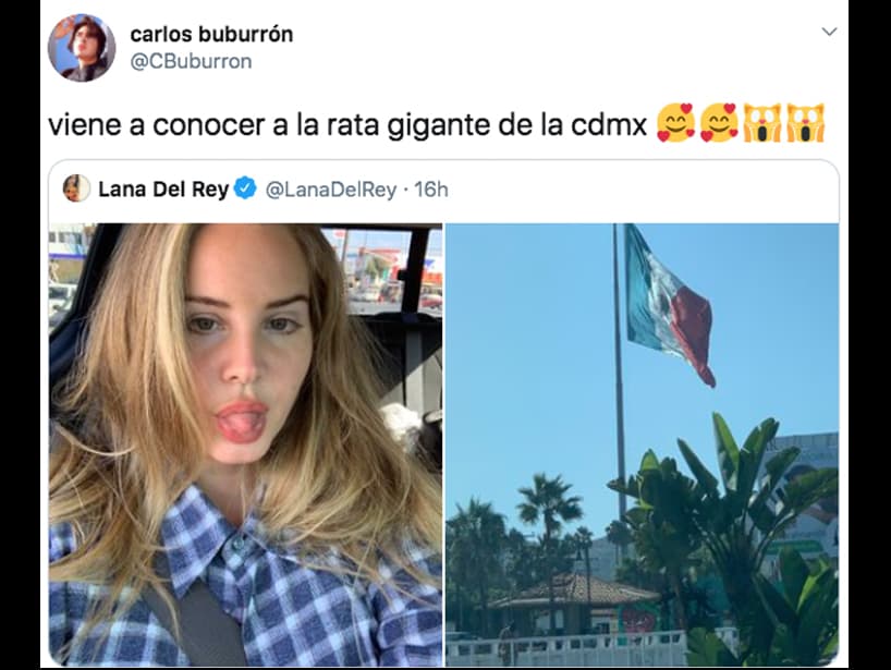 Otro usuario bromeó con que la visita de Lana del Rey a México fue para conocer a la rata gigante.