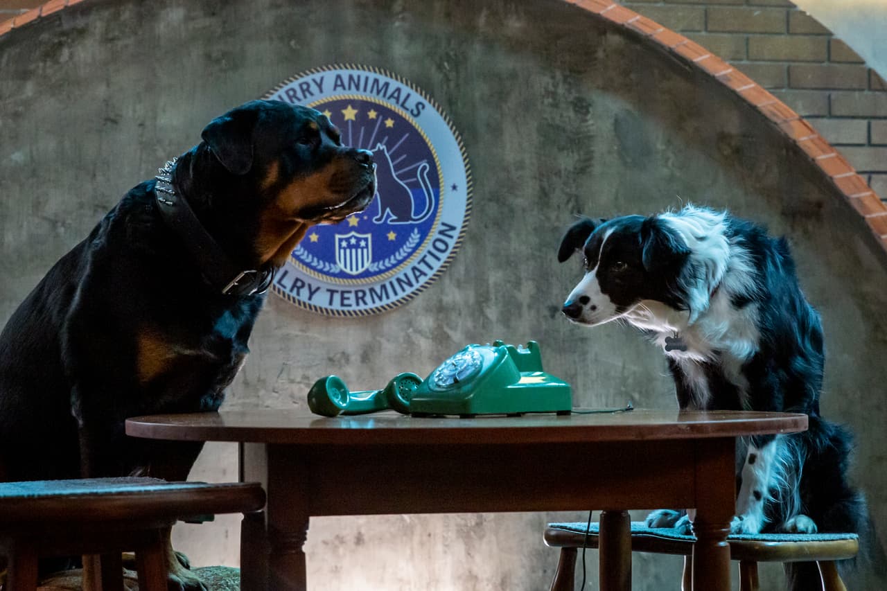 "Tuvimos muchos entrenadores en el rodaje. Los perros y los gatos trabajan bien entre ellos. Pero los otros animales los teníamos que grabar uno a la vez y cortábamos, en posproducción los unimos, porque trabajamos individualmente con ellos", nos dijo McNamaraa