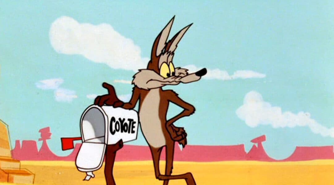Habra película ¿del Coyote? ¿Y live action?