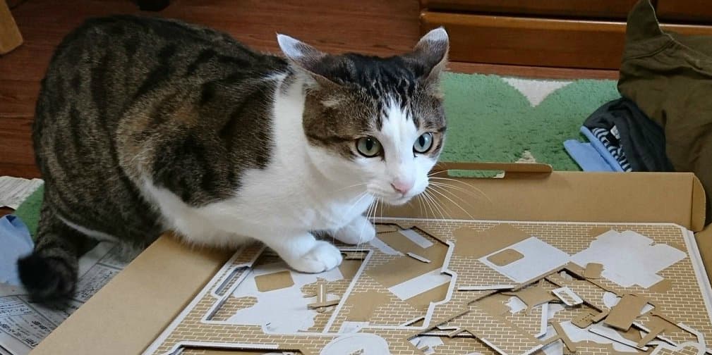Así juegan los gatitos con Nintendo Labo