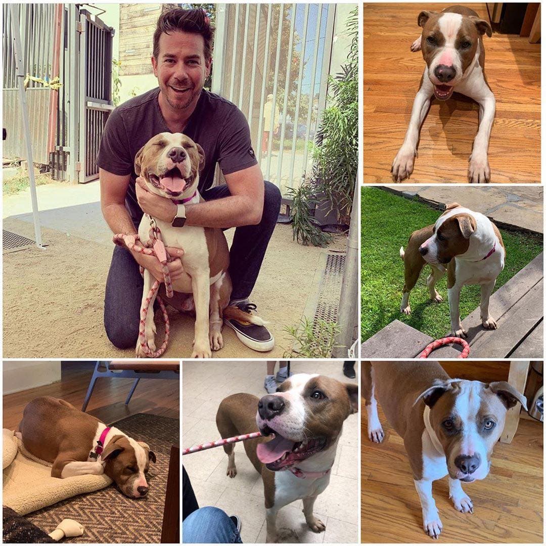 Le encantan los animales y a través de sus redes sociales le gusta apoyar campañas para adoptar perros. ¡Y lo adoramos por eso!