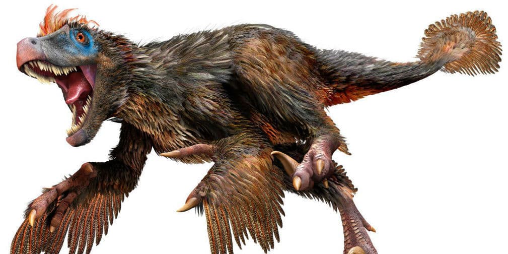 Los dinosaurios ahora son ¡aves!