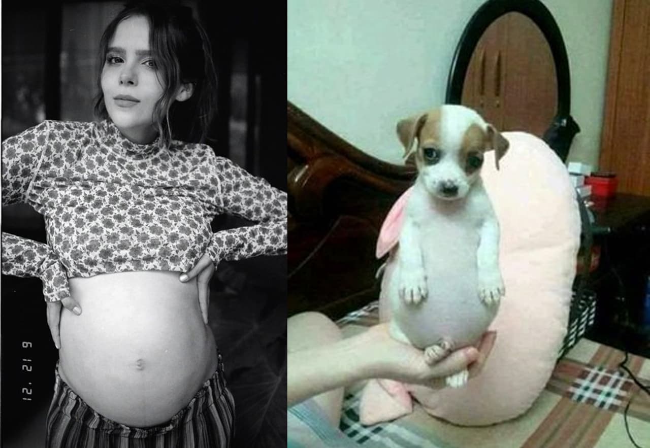 15 tiernos memes que nos dejó la notica del embarazo de Yuya