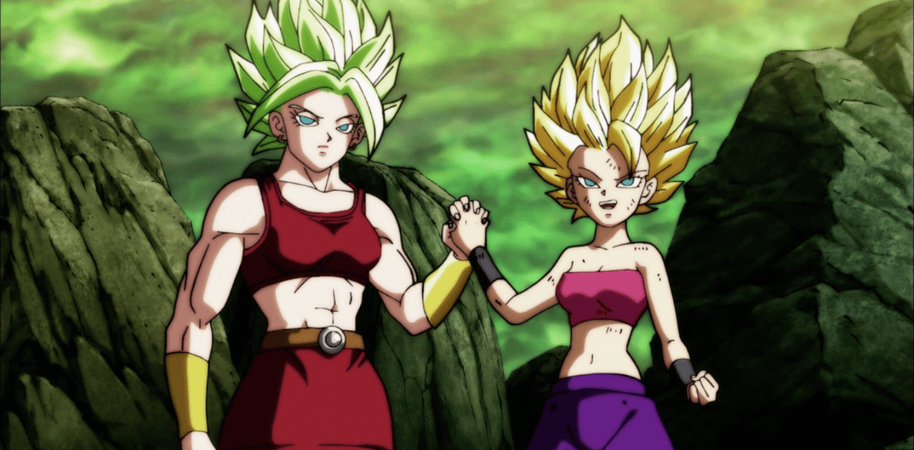 Dos saiyajin del universo 6