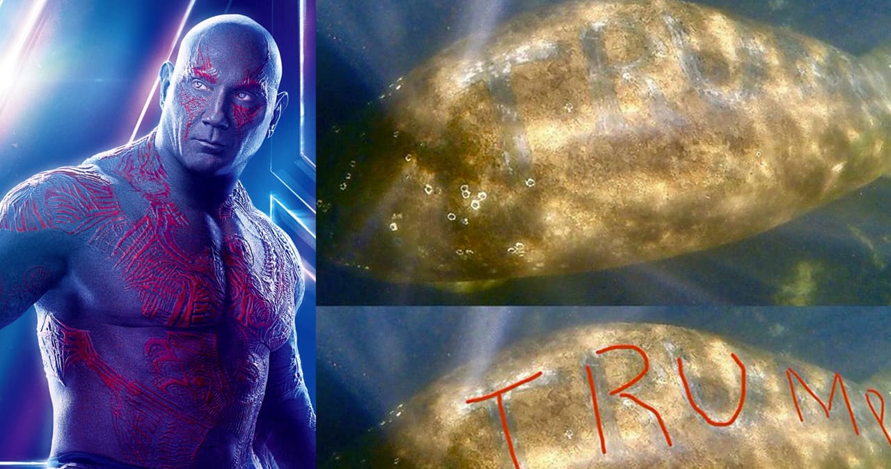 ¡Todo un Vengador! Dave Bautista ofrece recompensa para atrapar a quien talló Trump en un manatí