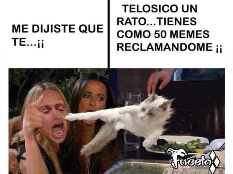 Al final del día, el que más sufre con todo esto, es el pobre gatito.