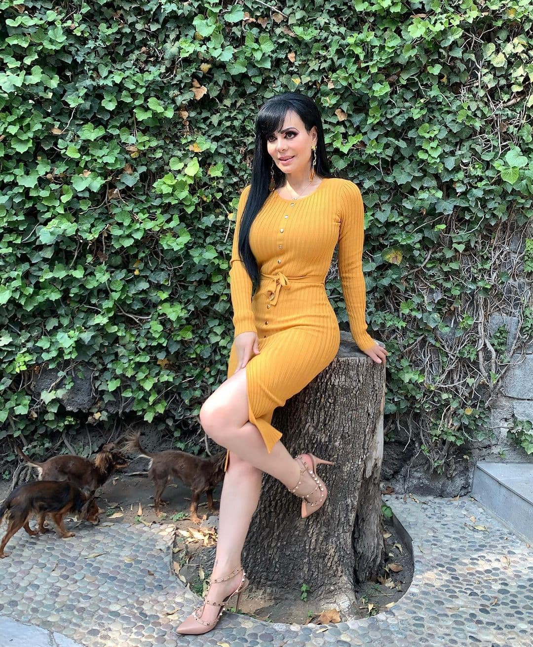 Maribel Guardia protagoniza nuevo meme
