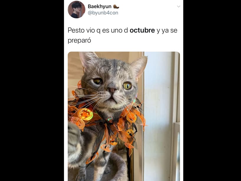 ¡Ya es momento de prepararnos para esta festividad, así como Pesto!