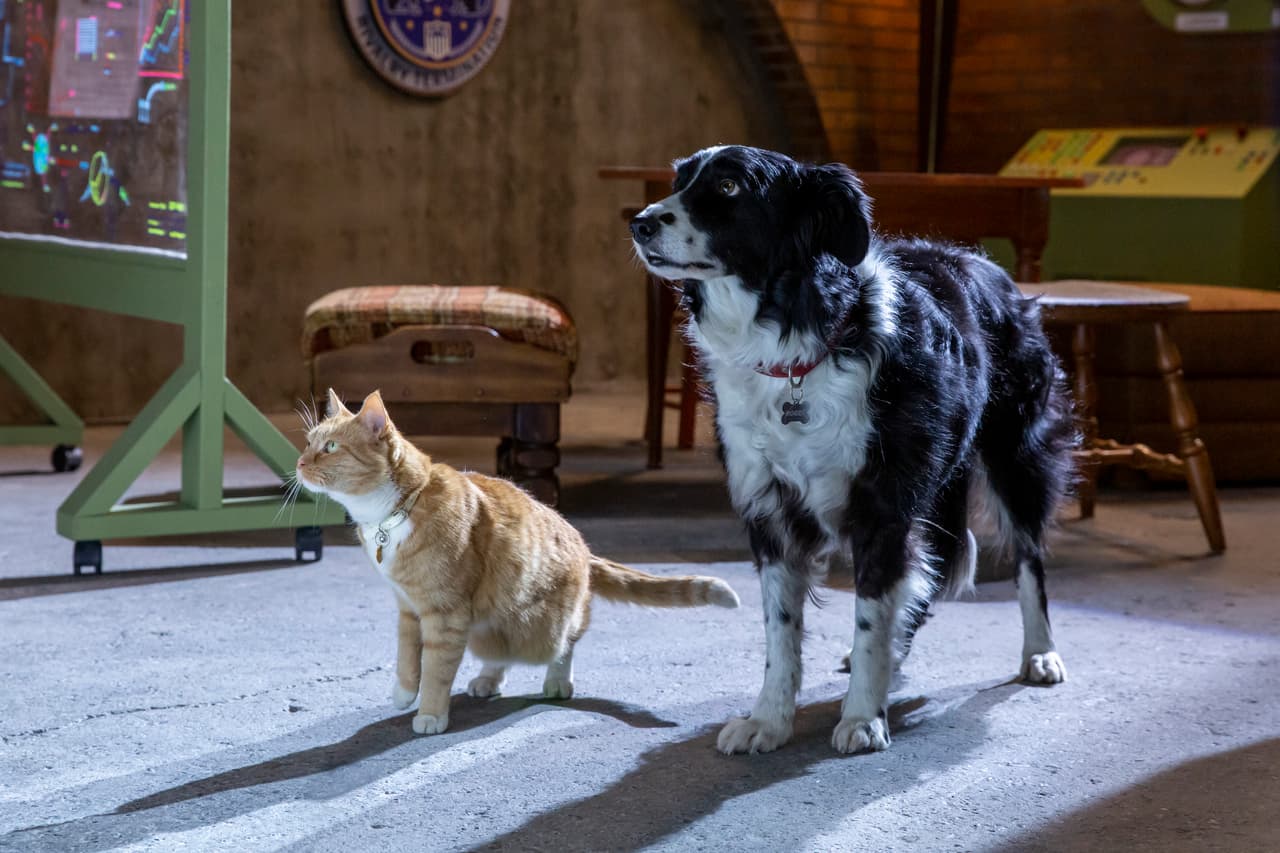 Cuando dos perros y un gato se unen, es que algo malo está pasando... aunque también es una historia en la que la amistad entre dos especies volverá a ponerse a prueba.