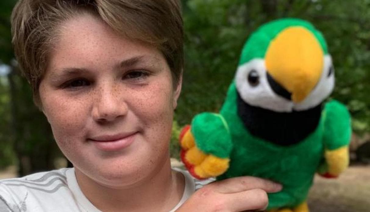 Todo sobre ‘Chimuelo', el periquito australiano del video viral