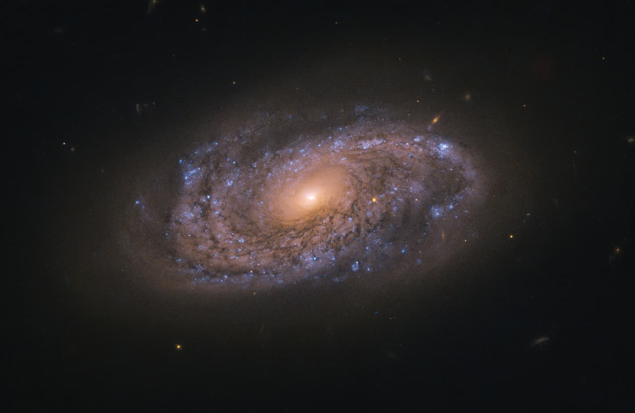 Estrellas viejas y hasta muertas le dan colorido a una galaxia como NGC 2906.
