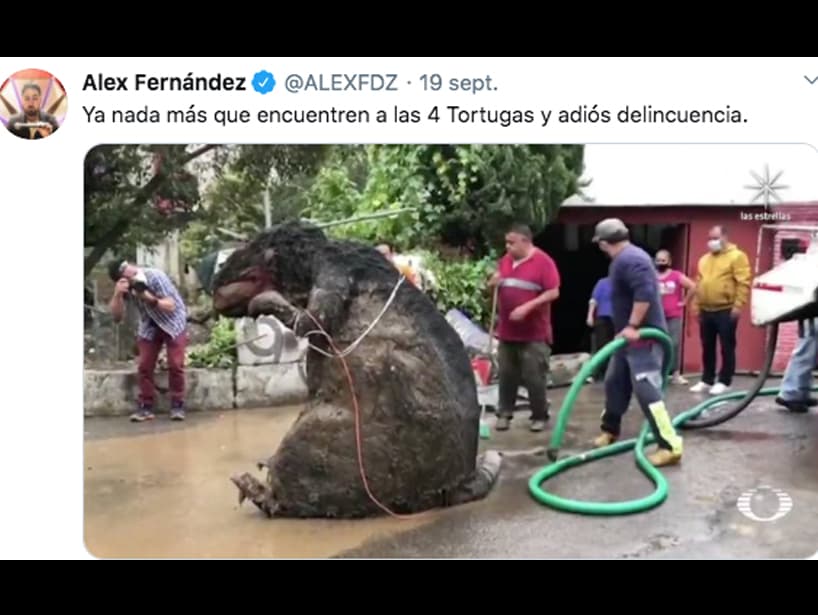 Incluso el standupero Alex Fernández compartió su meme, al asegurar que solo faltan las Tortugas Ninja para acabar con la delincuencia.