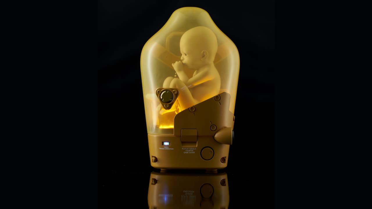 Los gamers serían felices cuidando un Bridge Baby, o BB, de Death Stranding. Lo bueno es que, como en el juego, después de un año de cumplir con su deber, podrían ser retirados para la siguiente rosquita.