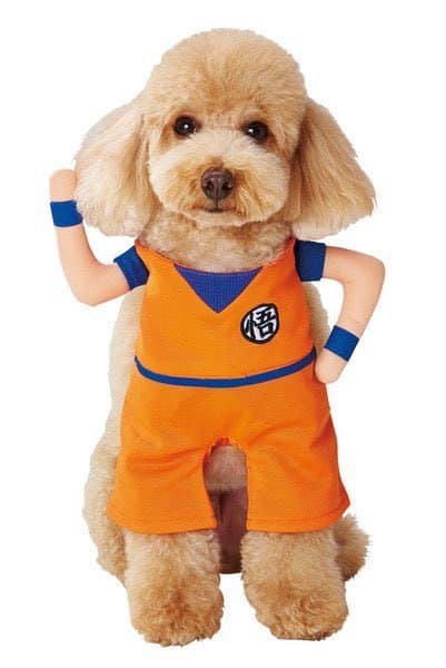 Cosplay gokú