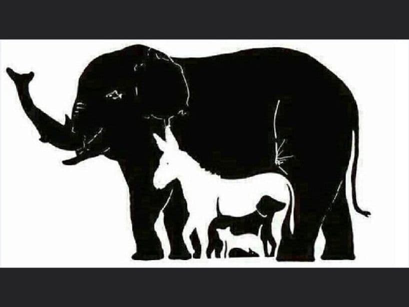 ¿Cuántos animales puedes ver en esta imagen?
<br>Tómate tu tiempo, hay más de los que se ven a simple vista.