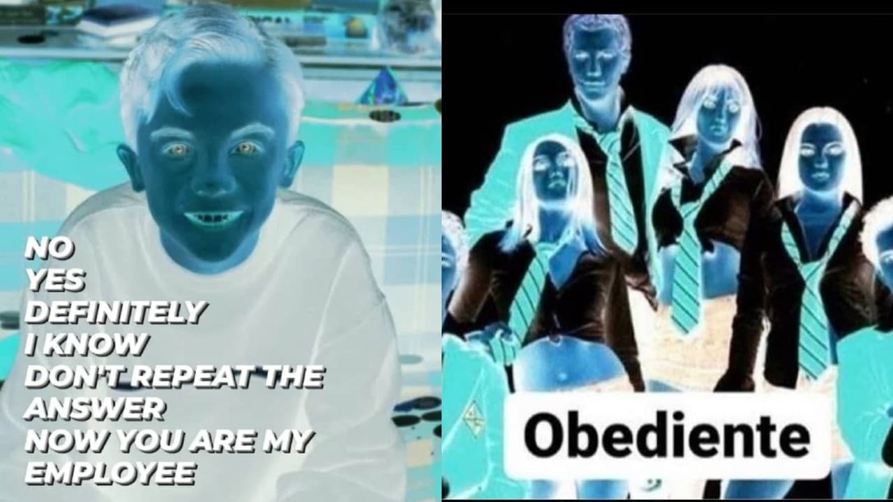 El Oscuro Origen de los Evil Memes, que muestran otro lado de la realidad