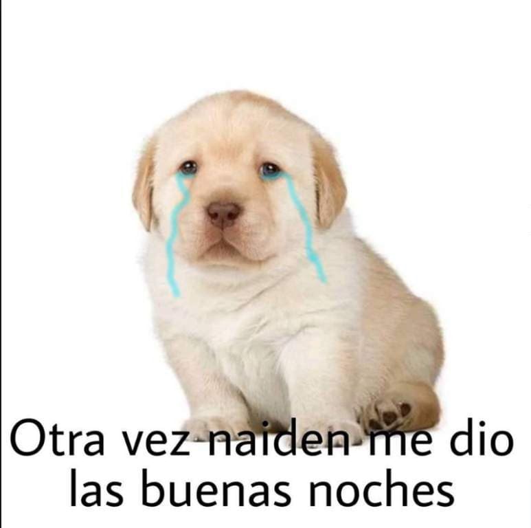 Nos identificamos con su dolor.