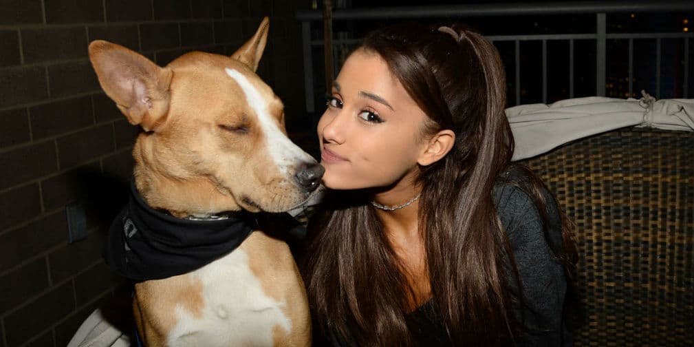Fan le hace la competencia a Ariana Grande