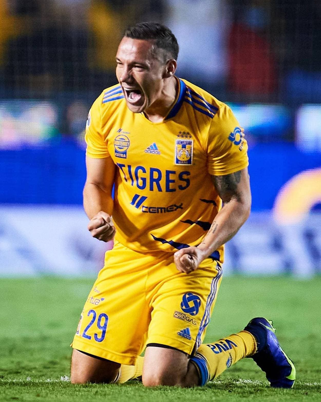 Tigres vs León: ver online el partido de la liguilla de la Liga MX