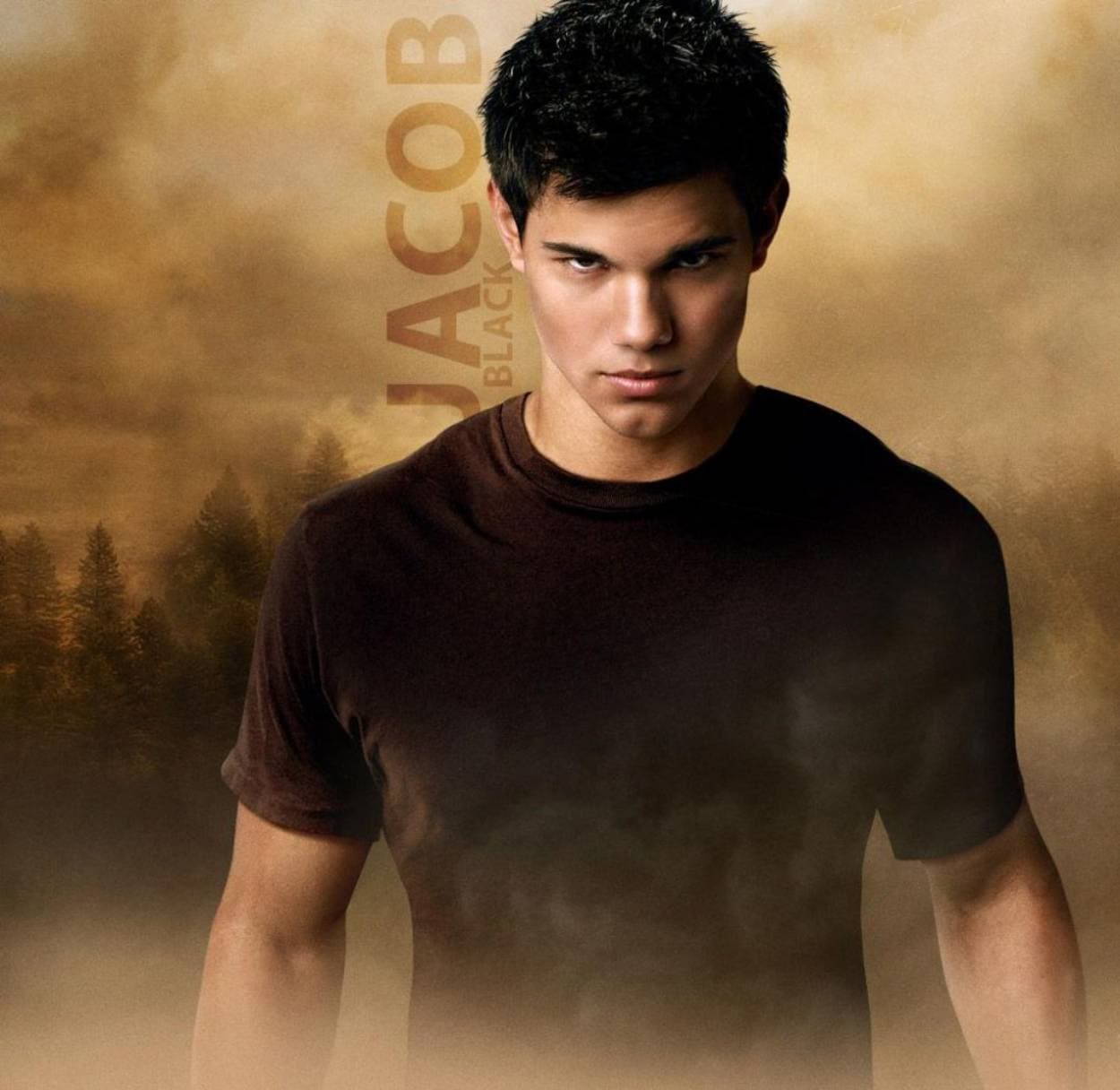 Taylor Lautner interpretó a Jacob entre 2008 y 2012.