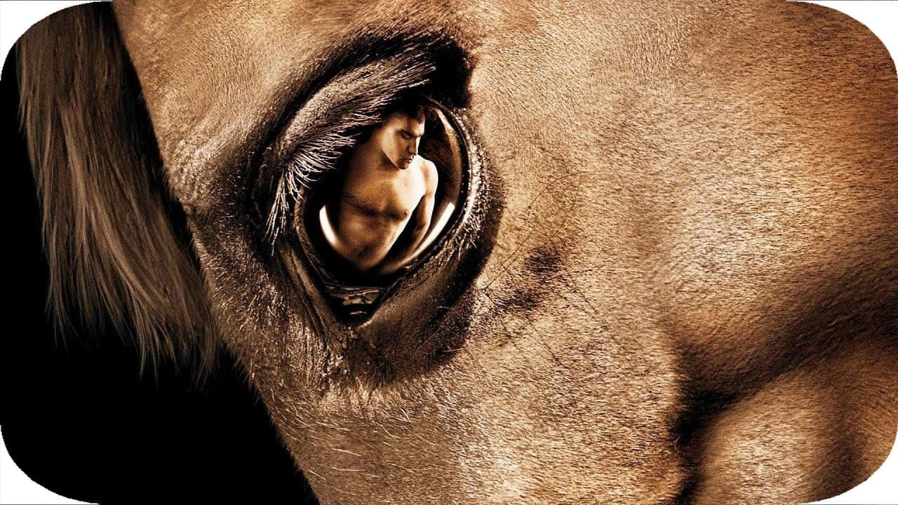 Zoo (2007): Robinson Devor dirió un documental sobre la muerte de un sujeto que murió por un desgarre por tener relaciones sexuales con un caballo. Este trabajo explora la zoofilia de una manera impresionante, además de contar con una propuesta visual impresionante. Si seguimos con las filias, podríamos menciona la alemana 'Nekromantic' (1987), en la que un matrimonio tiene intimidad con un cadáver.