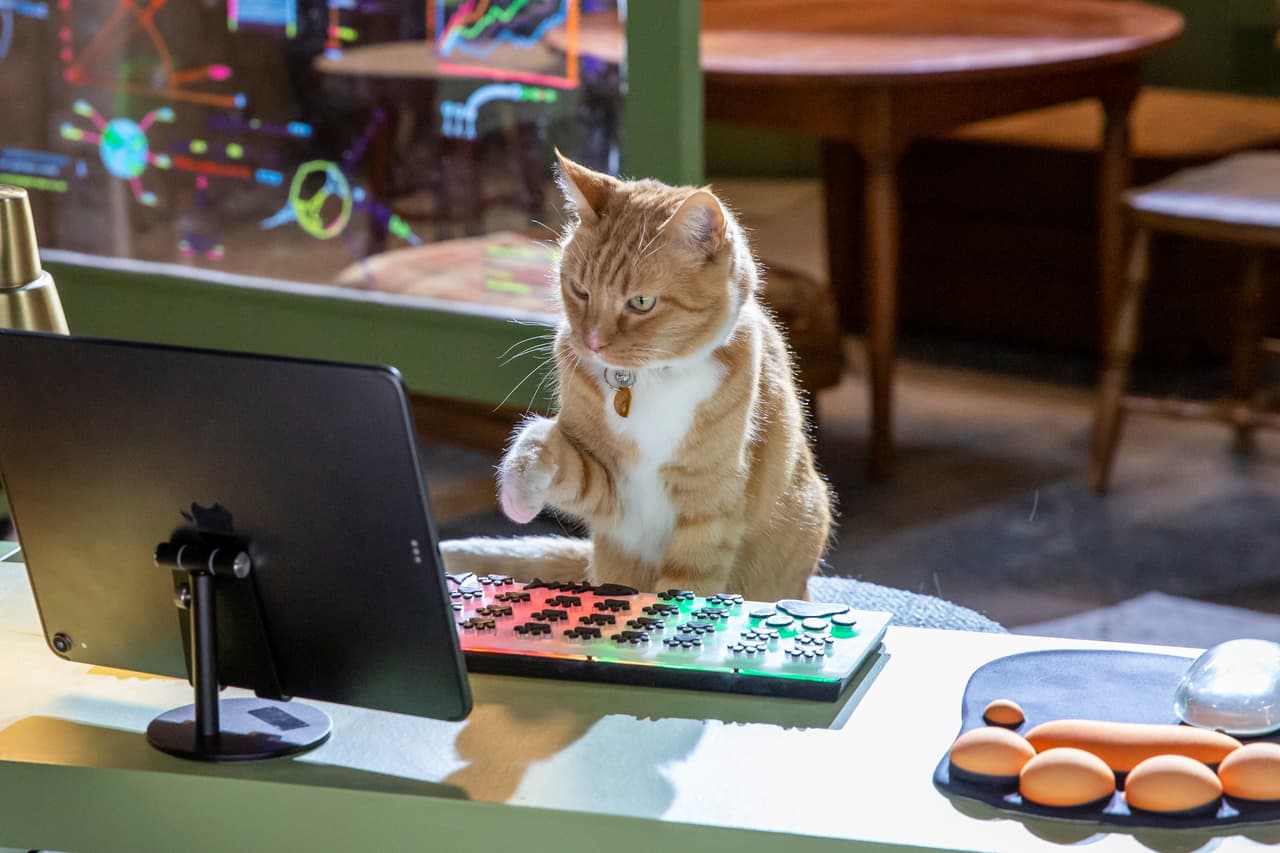 Para Sean, las primeras dos películas de “Cómo perros y gatos” son muy buenas, pero se concentraron sólo en esos dos animales.