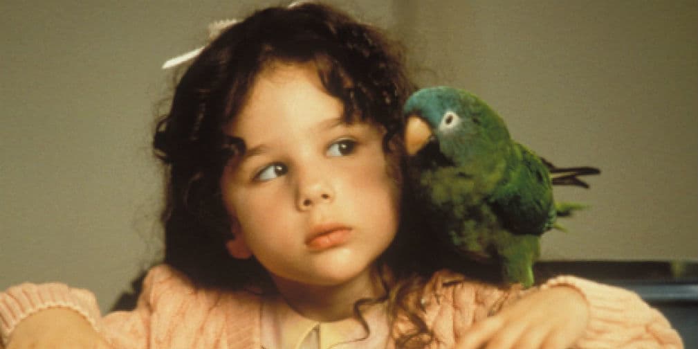Momentos de 'Paulie' que te harán sonreir o llorar