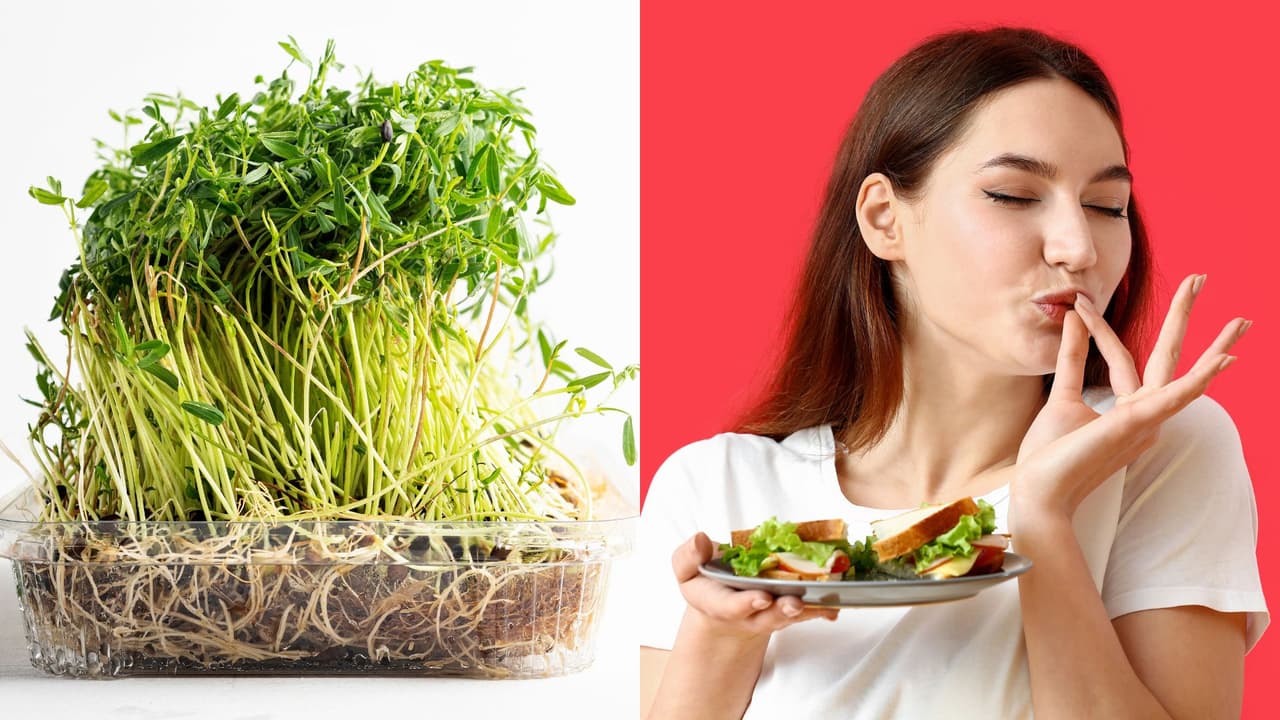 Beneficios del germinado de lentejas: Superalimento que fortalece tu cabello y ayuda a tu digestión