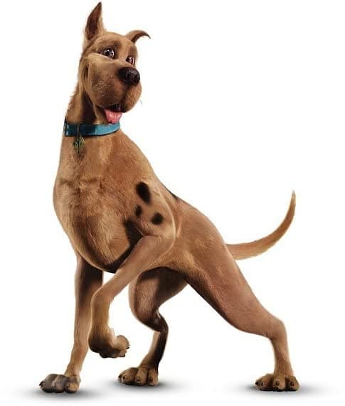 Y la voz de Scooby-Doo fue hecha por Neil Fanning en su versión en inglés.