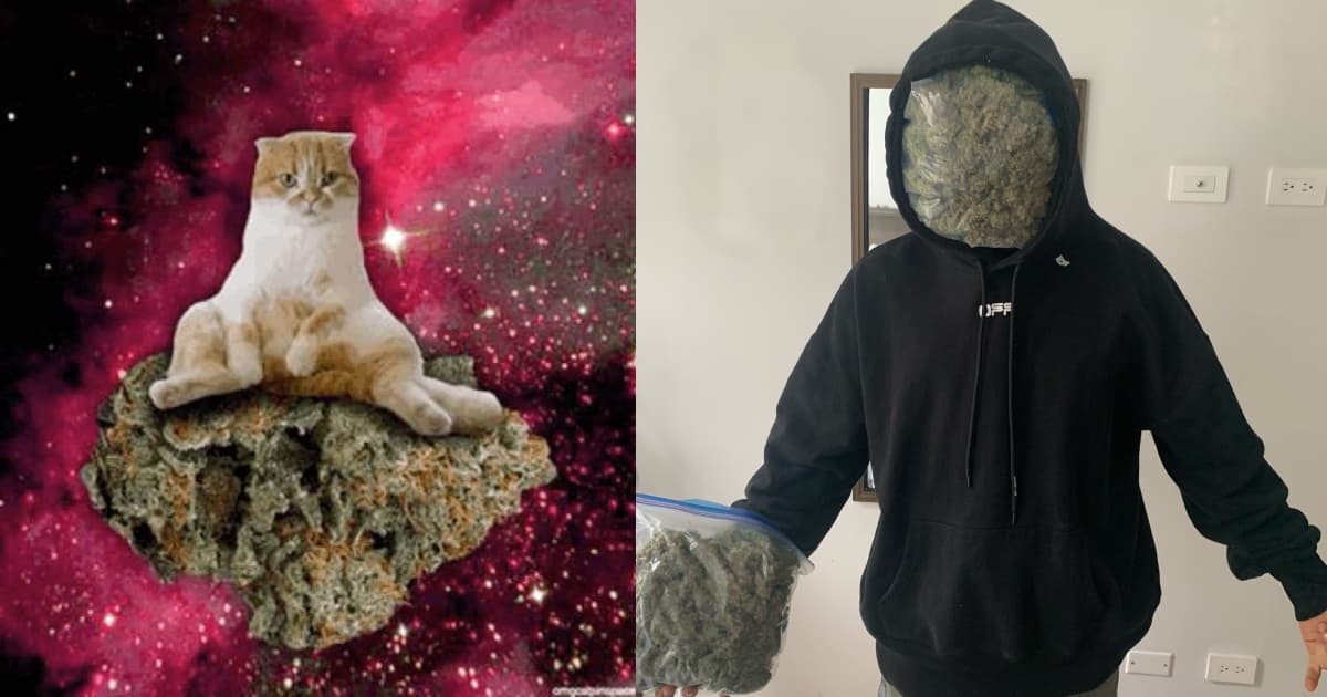 Es el Día Internacional de la Marihuana y te rolamos los mejores memes por el 4:20
