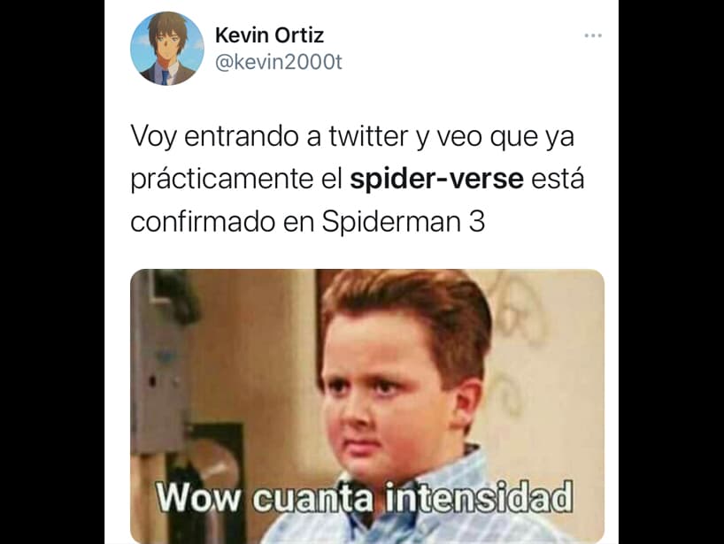 Aunque algunos fans ya se están pasando de intensos con el SpiderVerse.