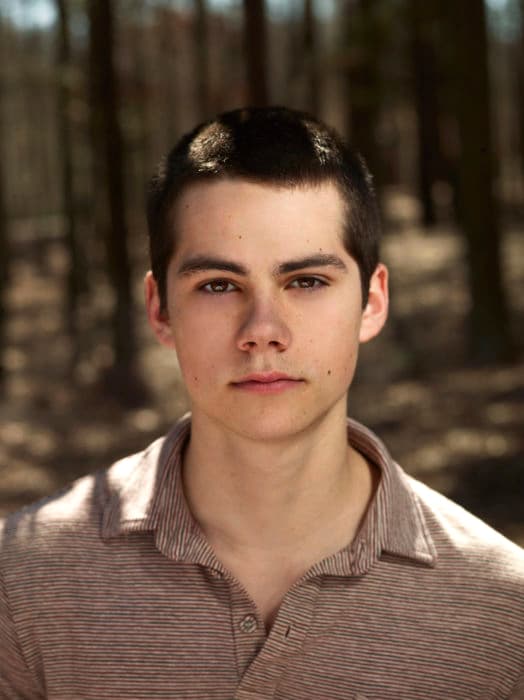 Stiles