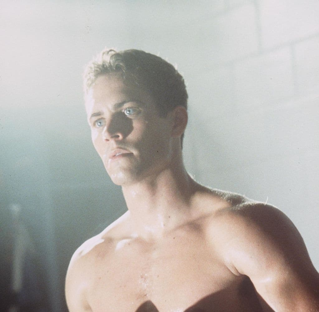 En 'The Skulls' (2000) sale al lado de Joshua Jackson ('Dawson’s Creek') como un par de amigos que quieren entrar a una sociedad secreta, pero las cosas se ponen turbias cuando hay un homicidio.