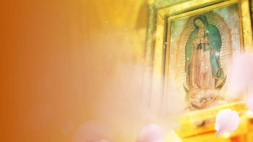 La Rosa de Guadalupe