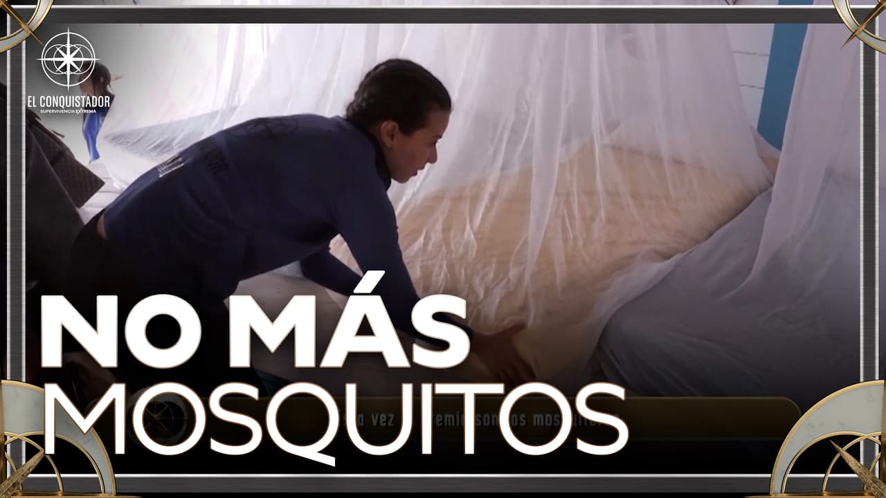 El INFIERNO NOCTURNO se acaba, los MOSQUITEROS son el premio de hoy