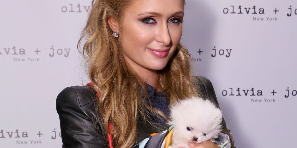 3. Paris Hilton: Viaja en avión privado con varias botellas de vodka, langostas, paletas de sabores y azúcar moreno.