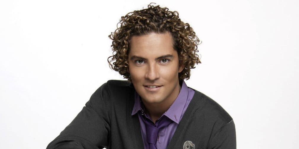 9. David Bisbal: El cantante aseguro que el matrimonio no era algo que le funcionara a él.