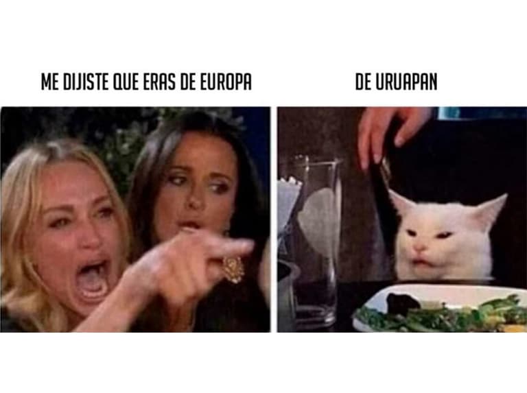 Te guste o no, este es el meme de moda, el meme de novedad.