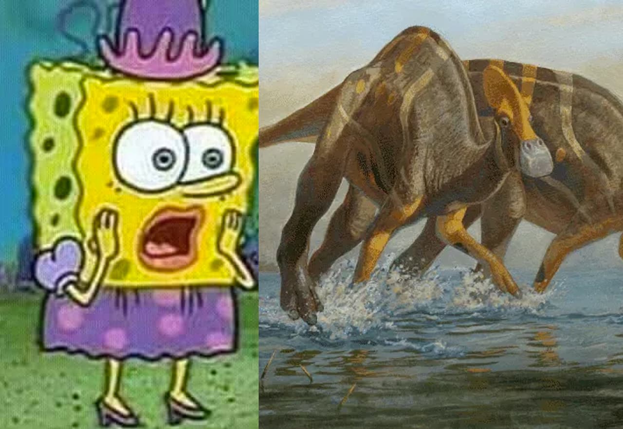 ¡Ah caray, eso sí me interesa! Hallan nueva especie de dinosaurio en México