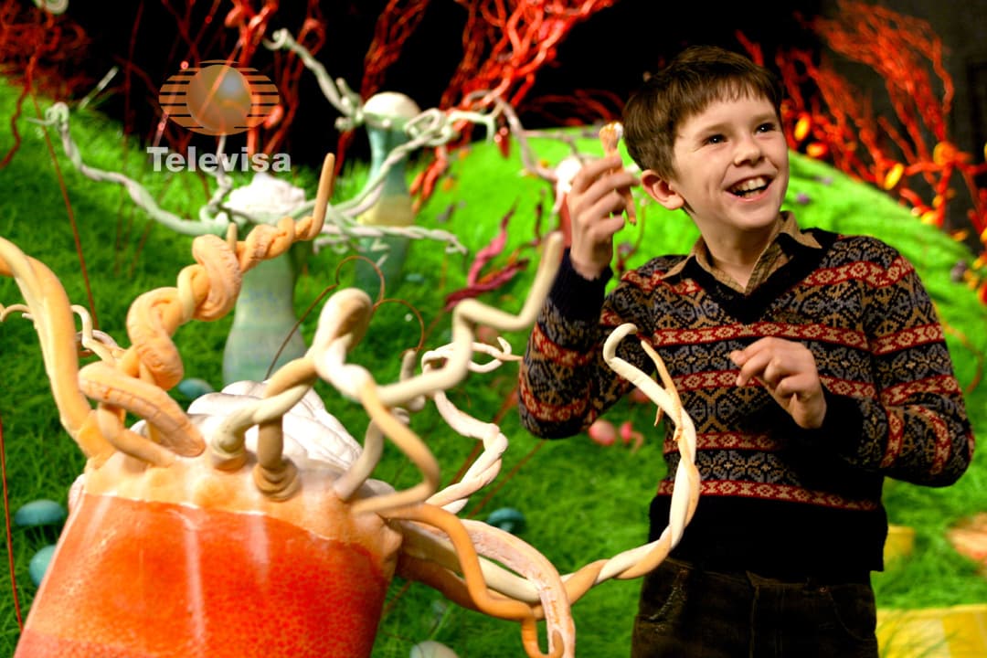 Charlie Bucket, vive en una casa muy humilde con su familia. Le encanta comer chocolate, aunque sólo consigue uno por año.
