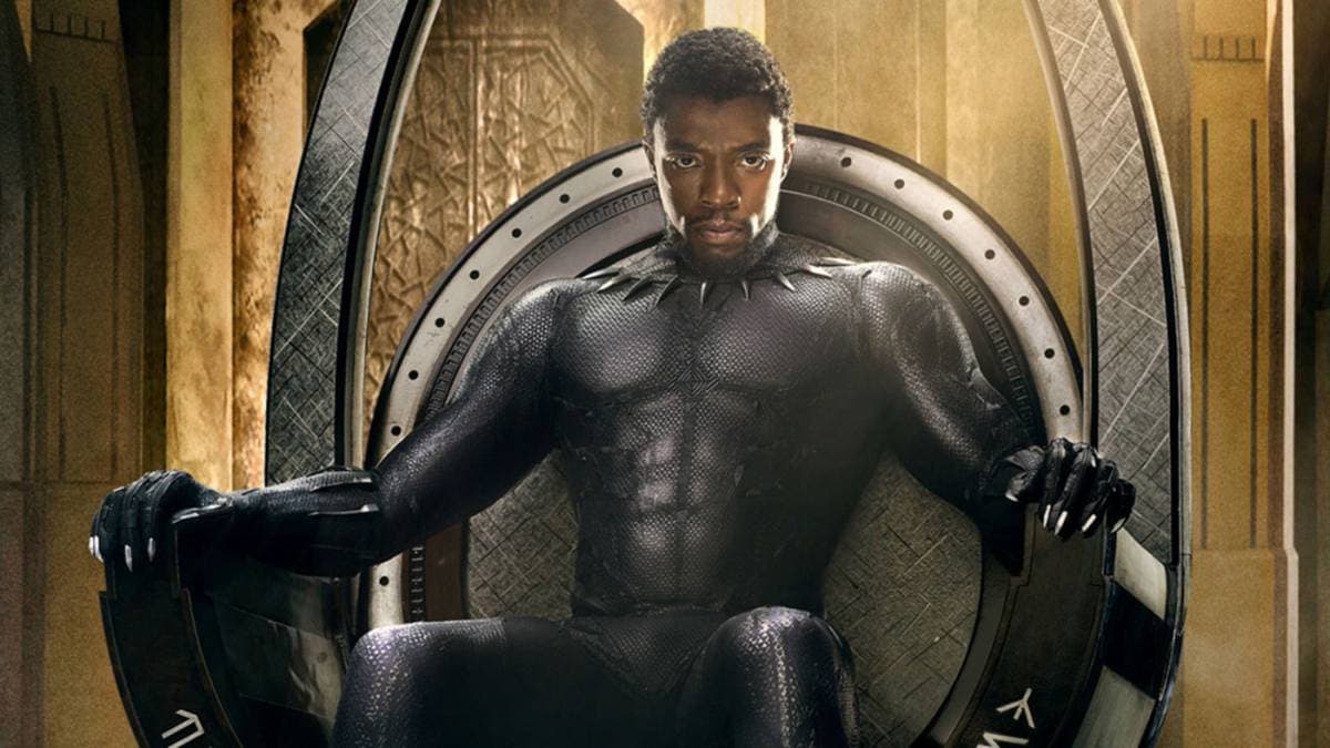Todo Black Panther se basa, por supuesto, justamente en los derechos civiles.