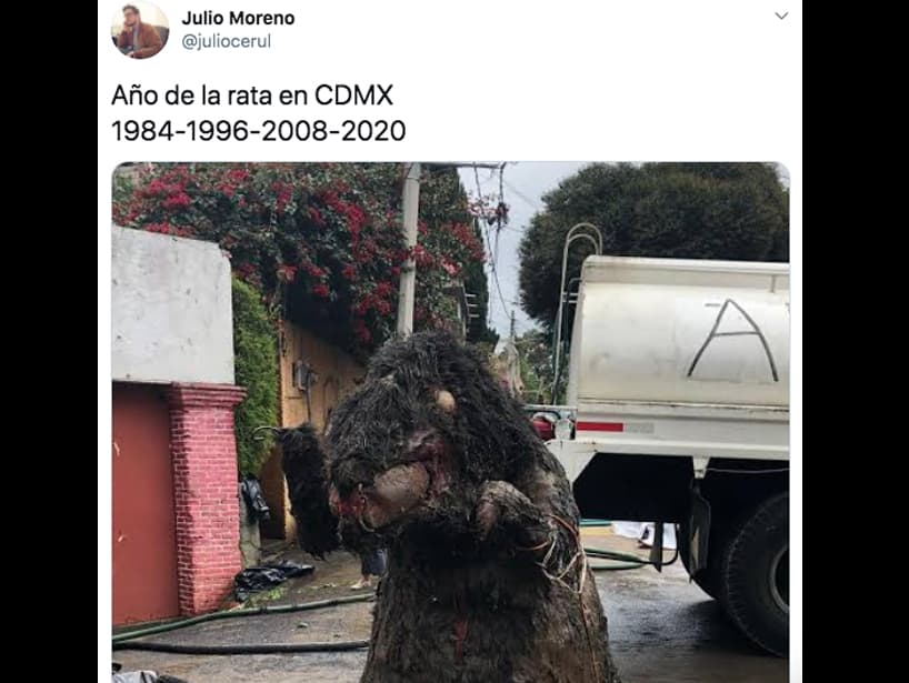 ¡El año de la rata!