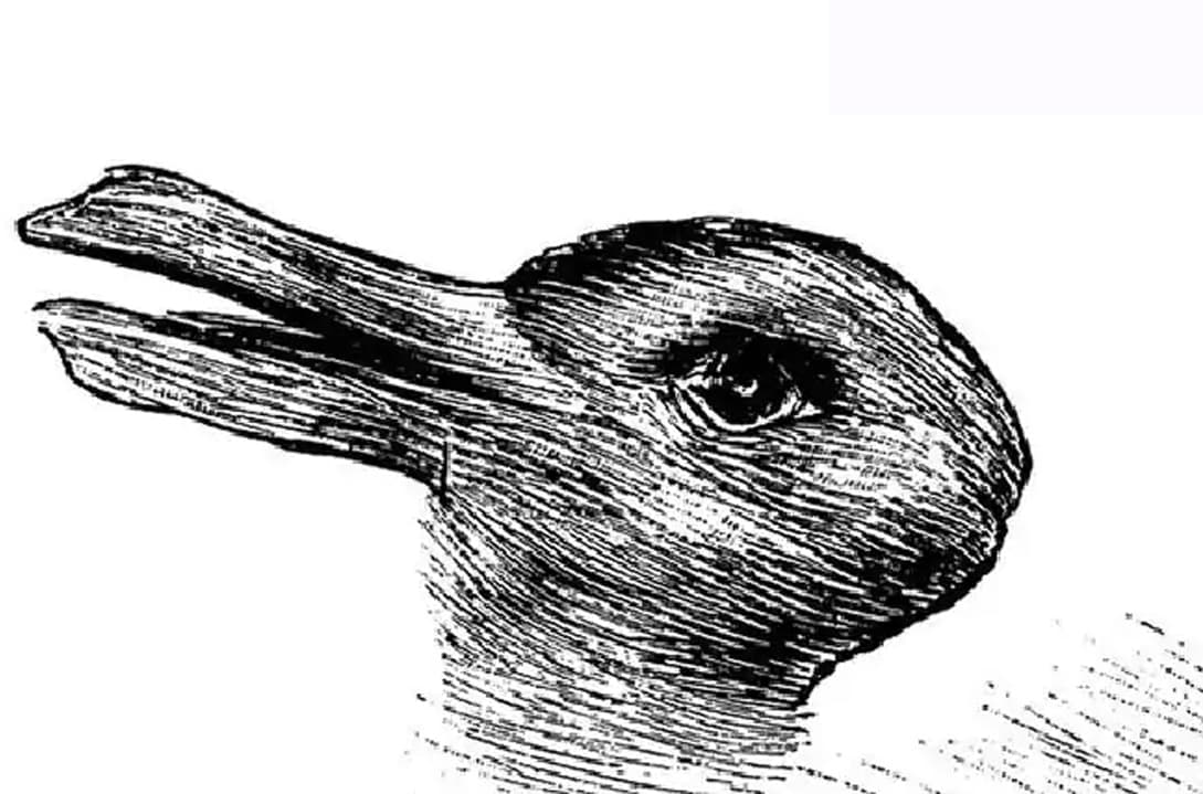 Este es un clásico que regresa cada cierto tiempo. ¿Es un pato o un conejo?