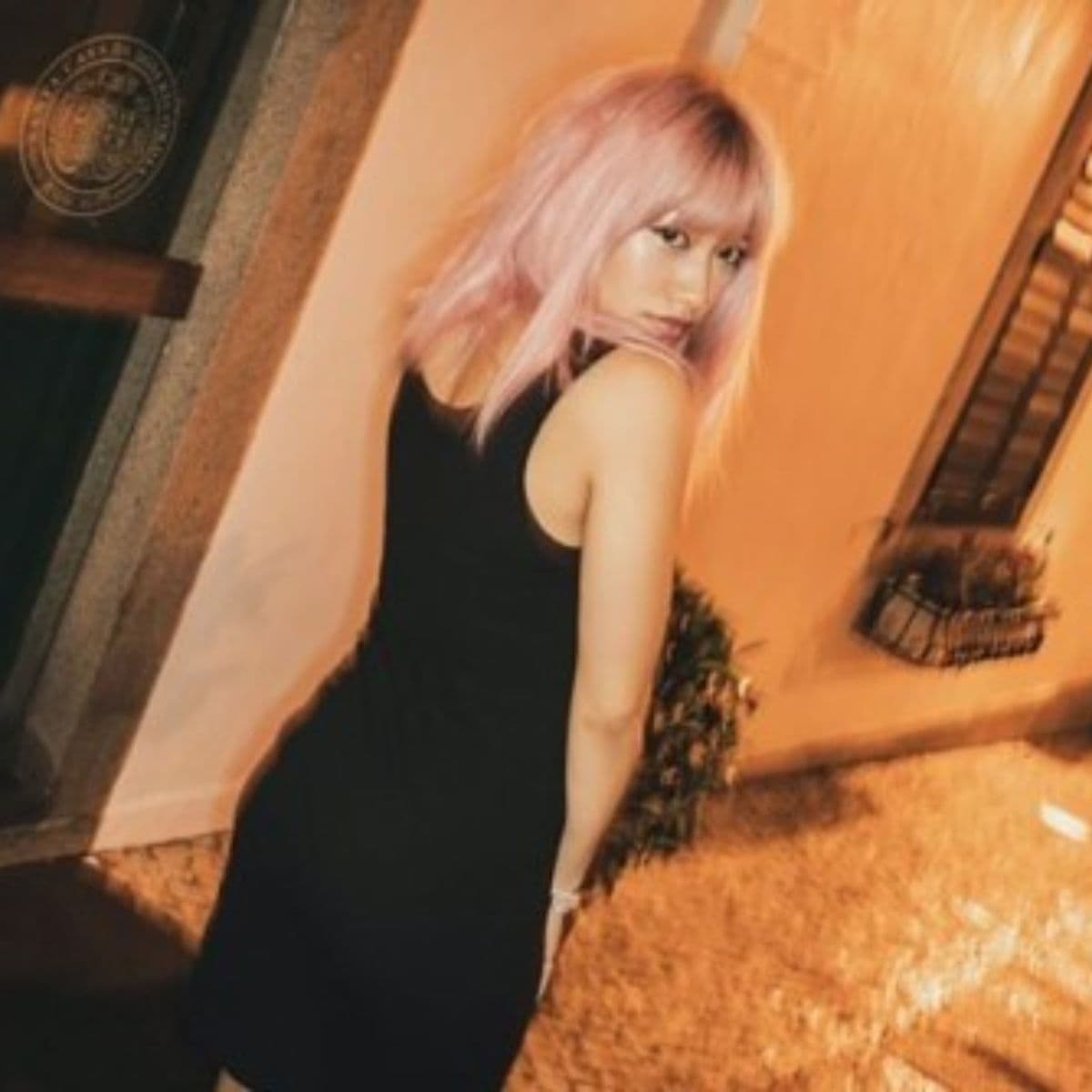 El caso recuerda al de celebridades coreanas como la idol Goo Hara, quien también decidió suicidarse ante el acoso por internet.