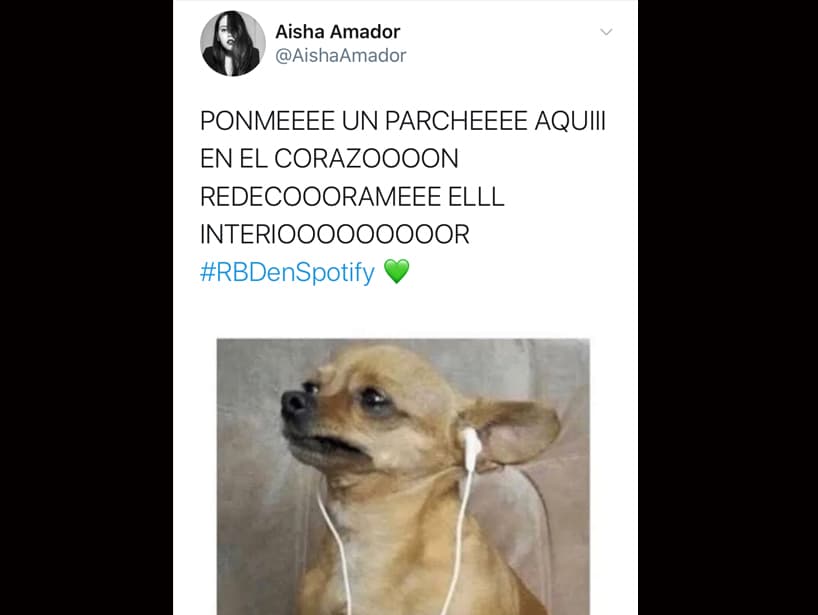 Este perrito nos representa cuando escuchamos ‘Otro día que va’.